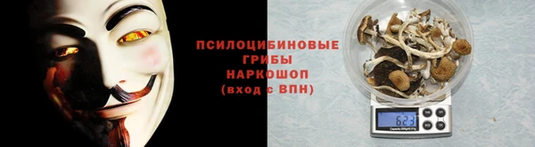 spice Алексеевка